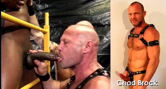 acheter cum holics dvd hot desert knights