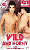 Cliquez pour voir la fiche produit- Wild and Horny #1 - DVD Boy Bangers