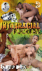 Cliquez pour voir la fiche produit- Interracial Fuckers Box - Box 6 DVD Staxus (Bareback Monster Cocks)